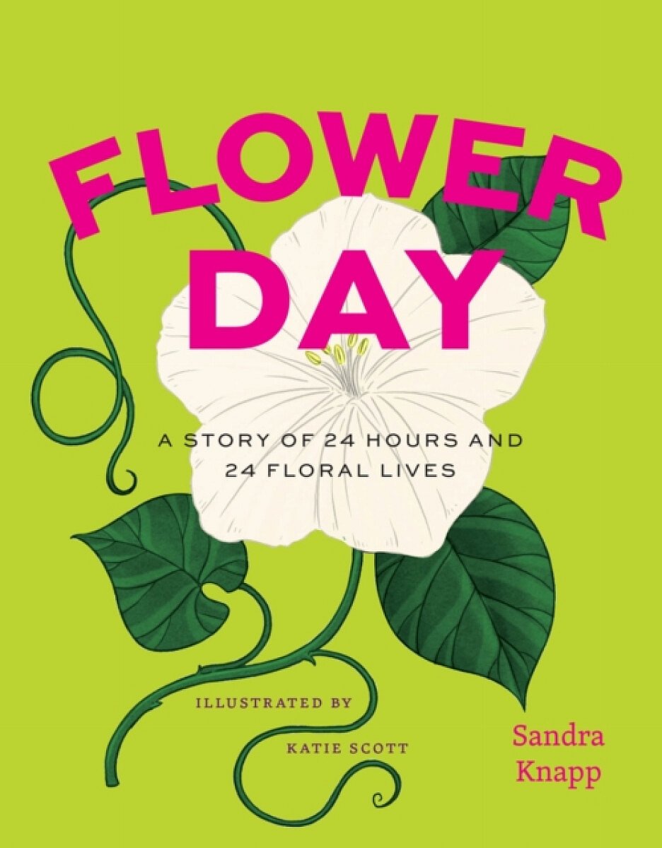 Flower Day â€“ A Story of 24 Hours and 24 Floral Lives - Sandra Knapp