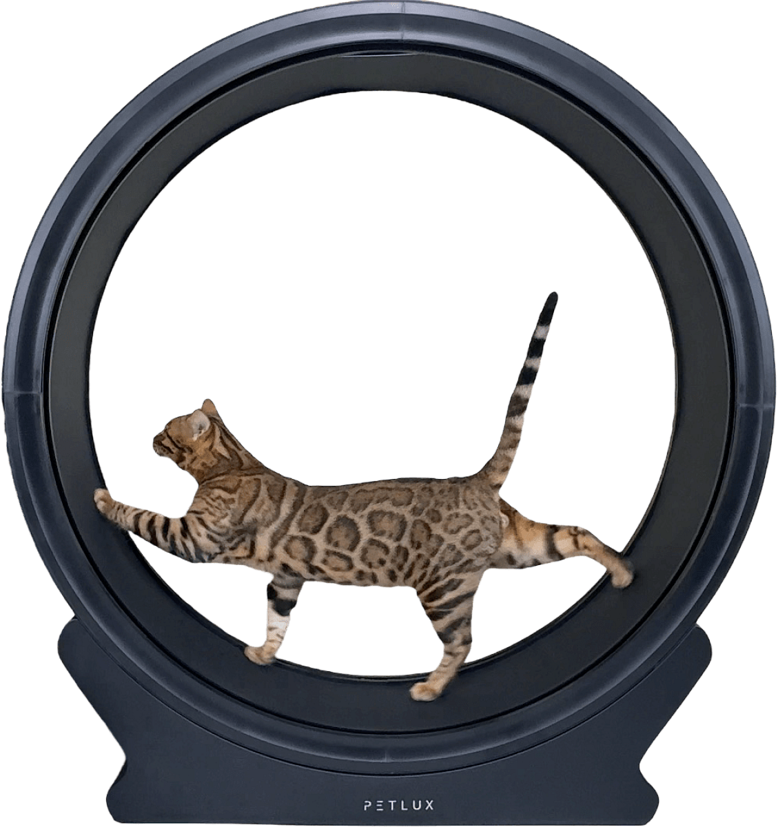Kolo Petlux tréningové pro kočky V2 černé bez osvětlení