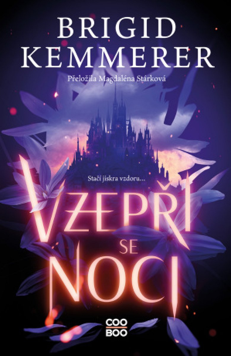 Vzepři se noci - Brigid Kemmererová - e-kniha