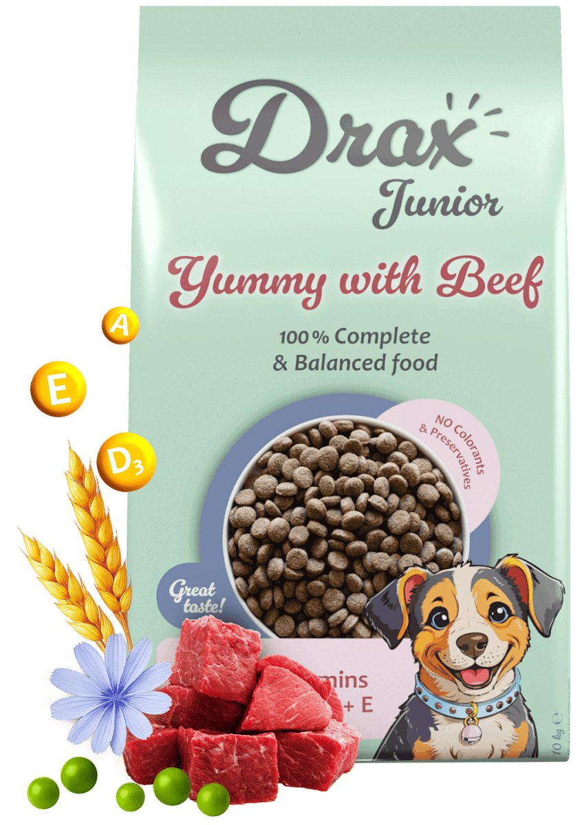 Krmivo Drax  Junior Dog s hovězím 10kg