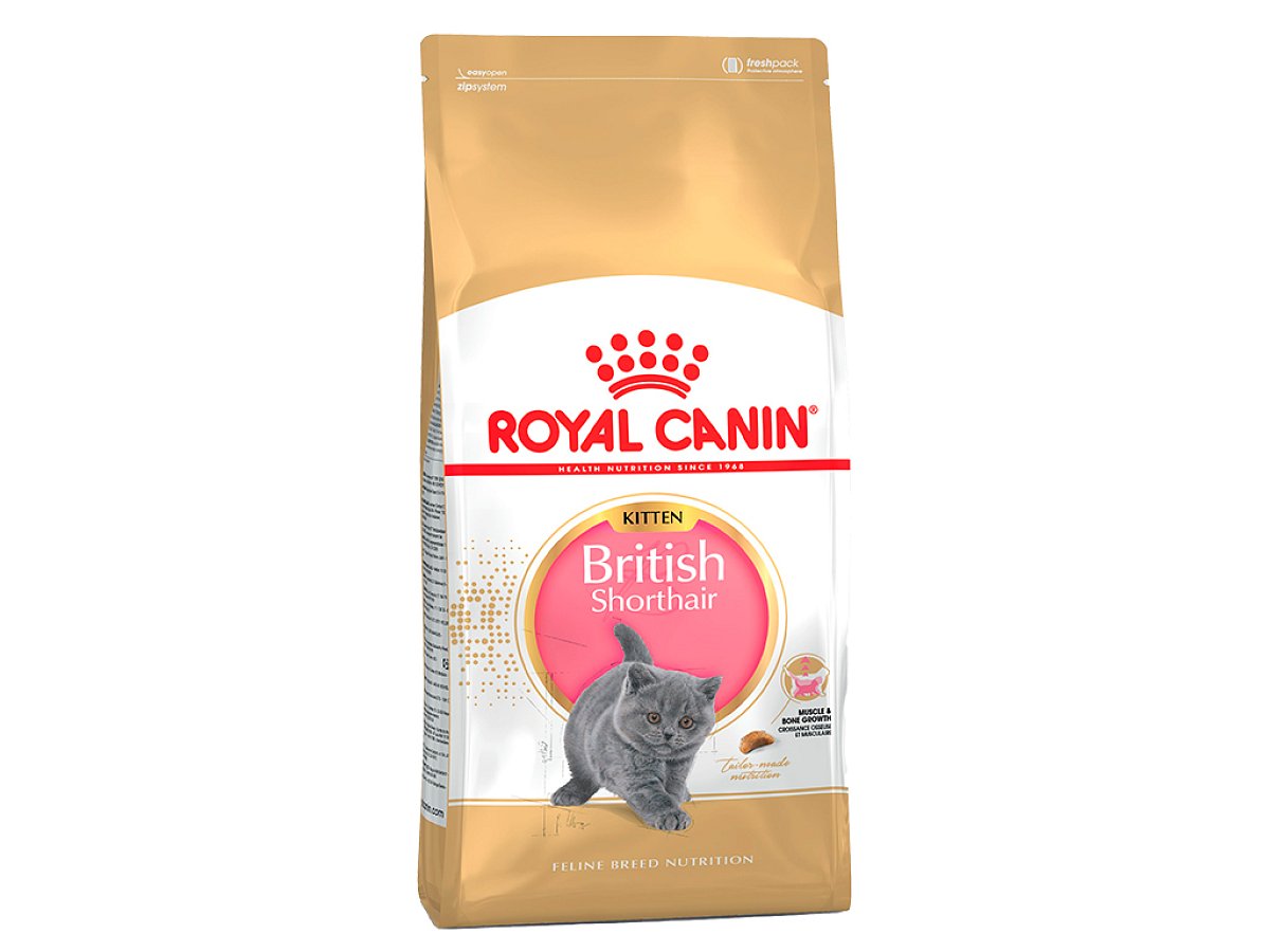 Royal Canin British Shorthair Kitten 400 g