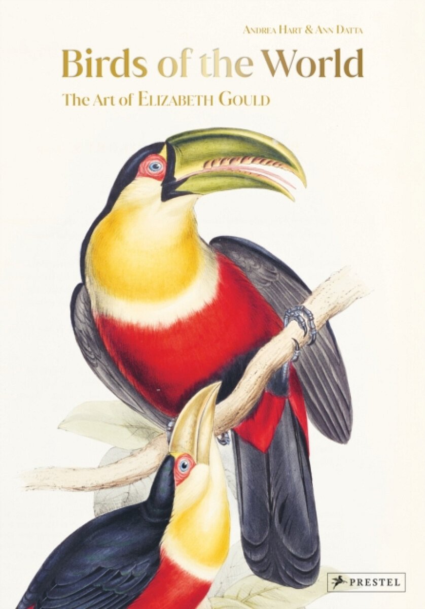 Birds of the World - Andrea Hart, Ann Datta