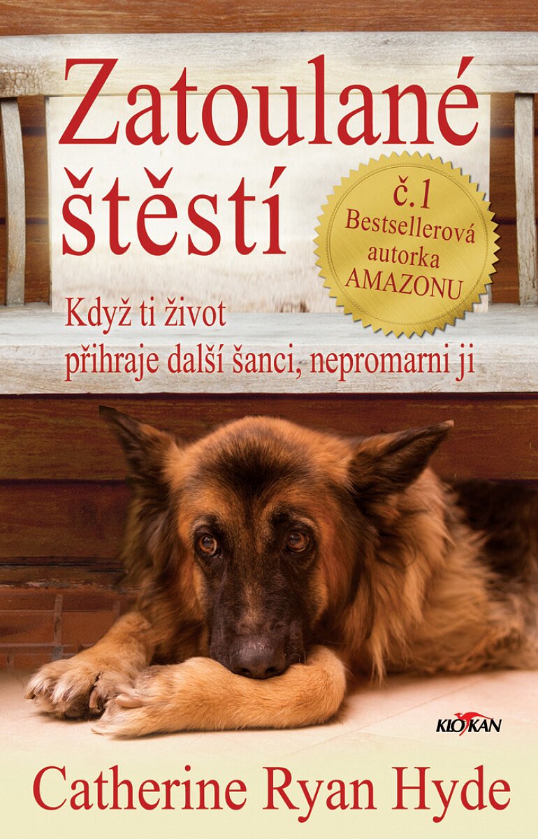 Zatoulané štěstí L - Catherine Ryan Hydeová