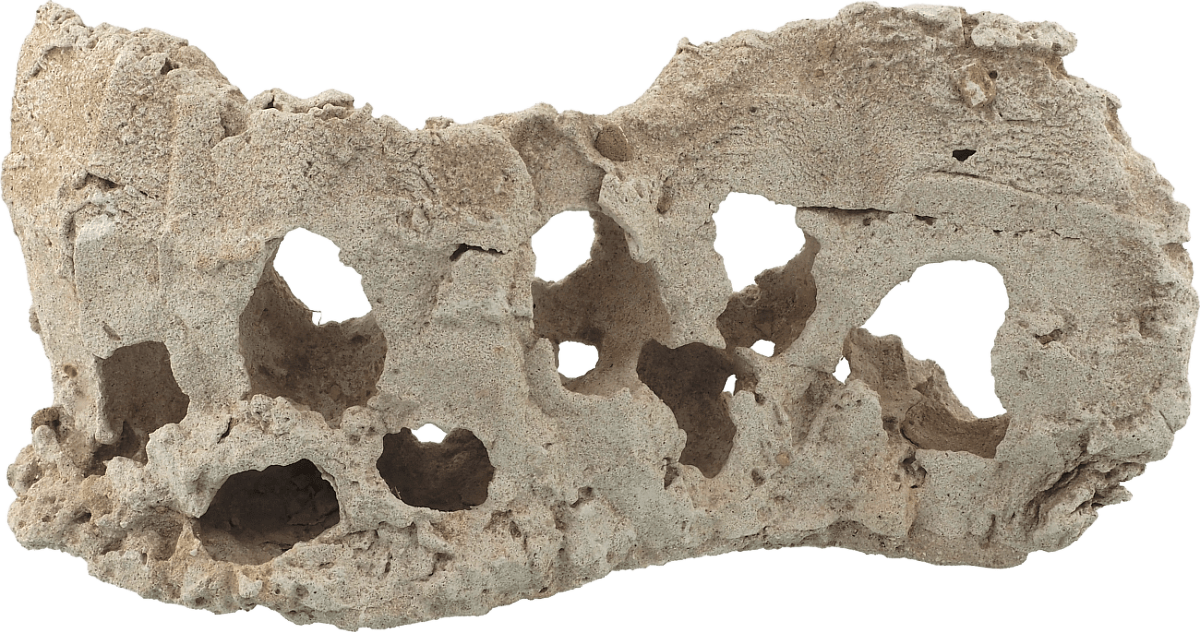 Dekorace Aqua Excellent útes dlouhý