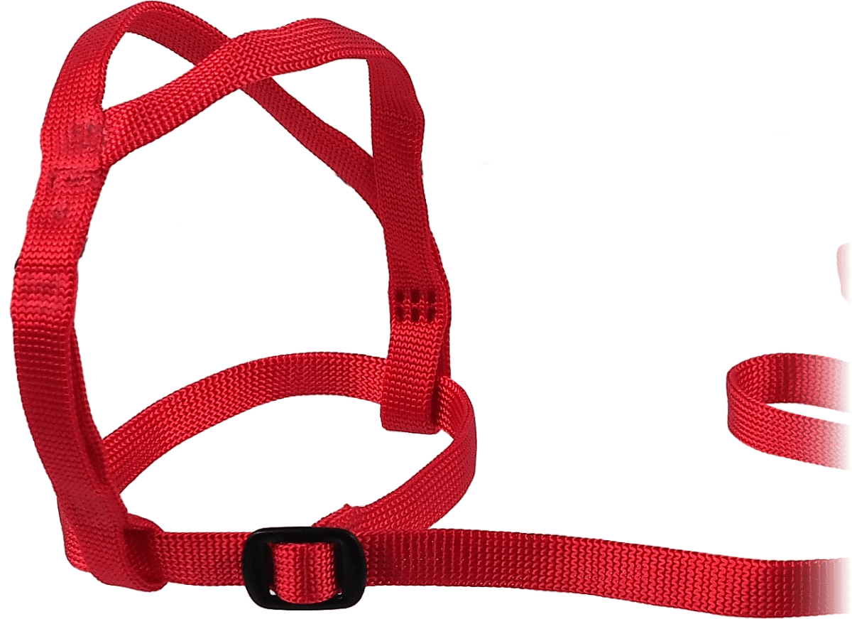 Postroj pro papoušky Vanpet XL červený