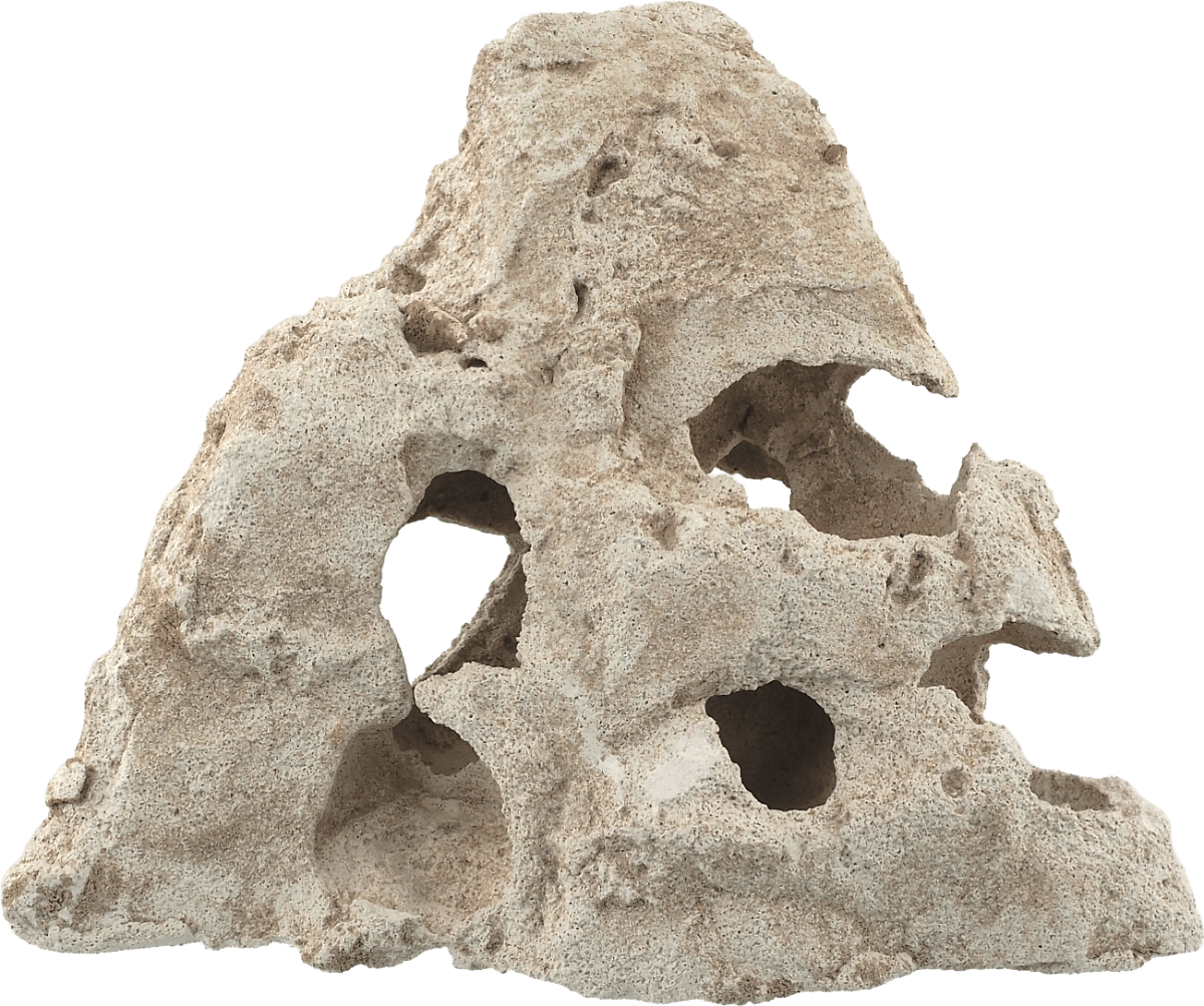 Dekorace Aqua Excellent v designu korálu S