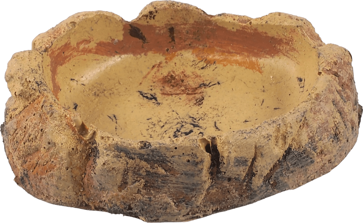 Miska Repti Planet terarijní světlá 8,6×6,5×2,5cm