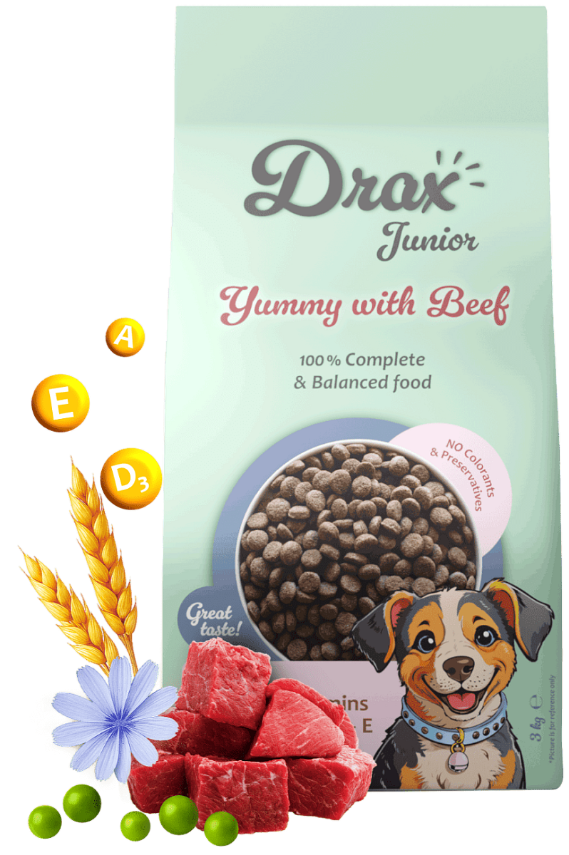 Krmivo Drax  Junior Dog s hovězím 3kg