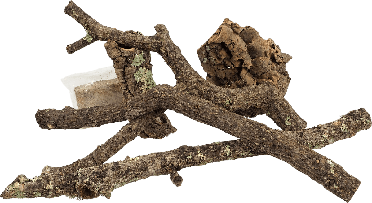 Dekorace Repti Planet z korku, větví a rašeliníku