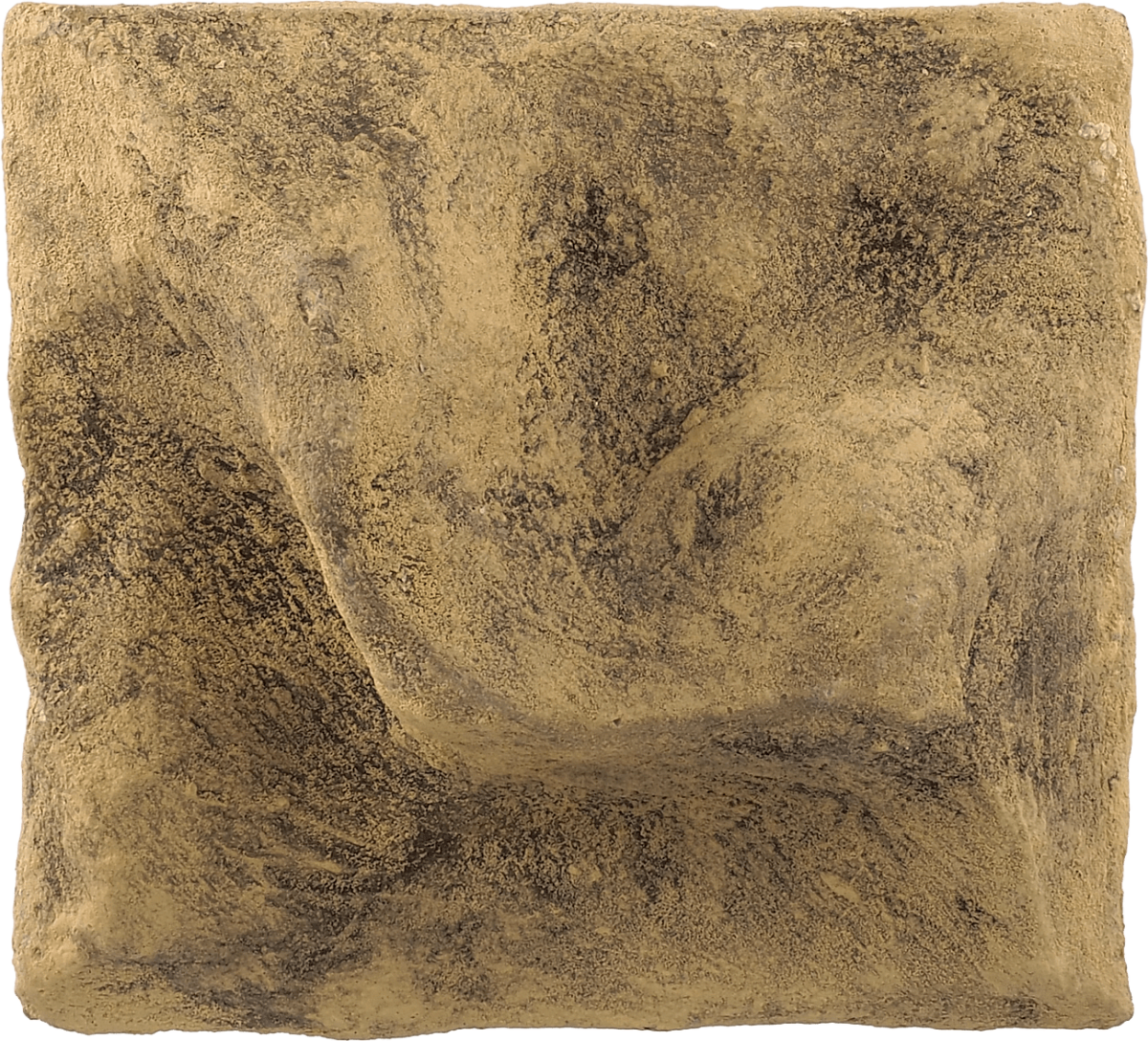 Pozadí Repti Planet do terária 27×28×7,5cm