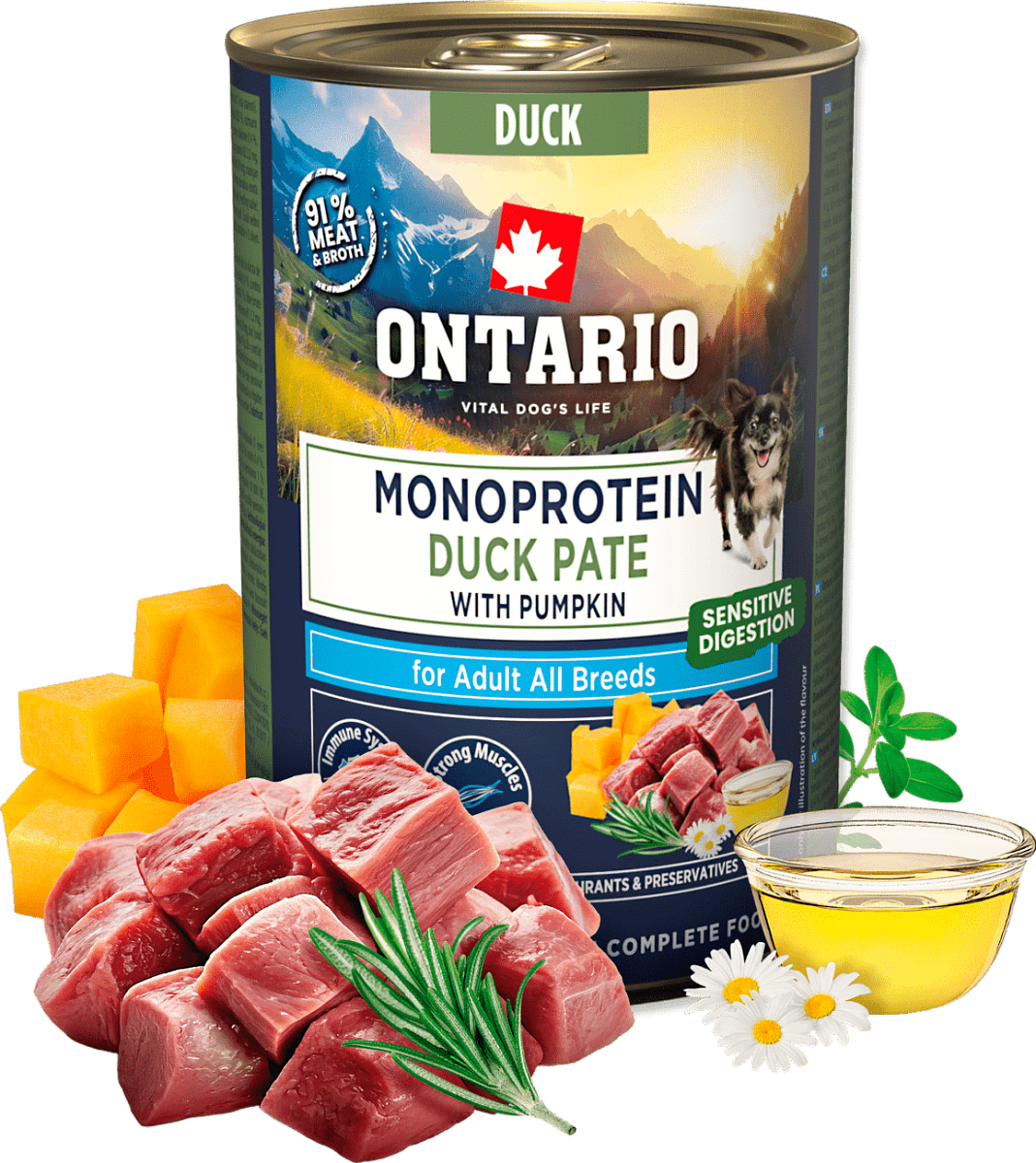 Konzerva Ontario Adult Monoprotein kachní pate s dýní 400g
