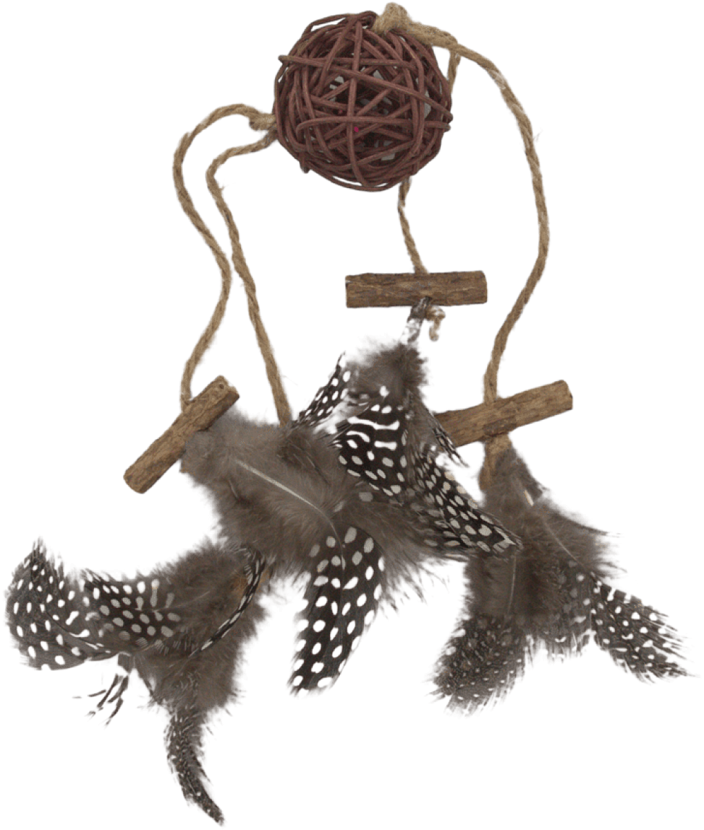 Hračka Have a Pet Matatabi lapač snů