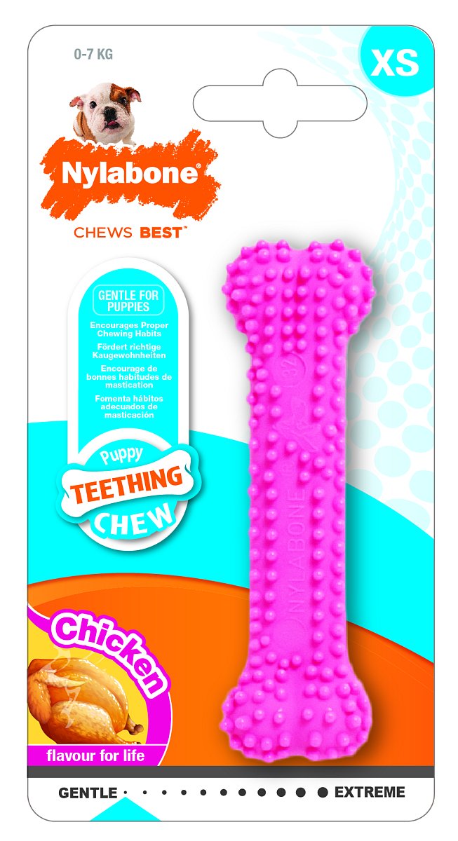 Hračka Nylabone Puppy Teething Dental Chew růžová XS